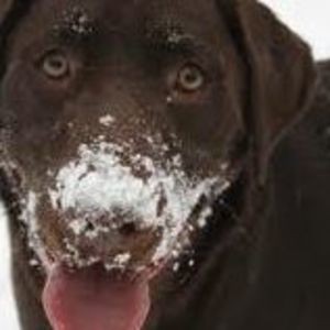 Meet your Posher, Terri